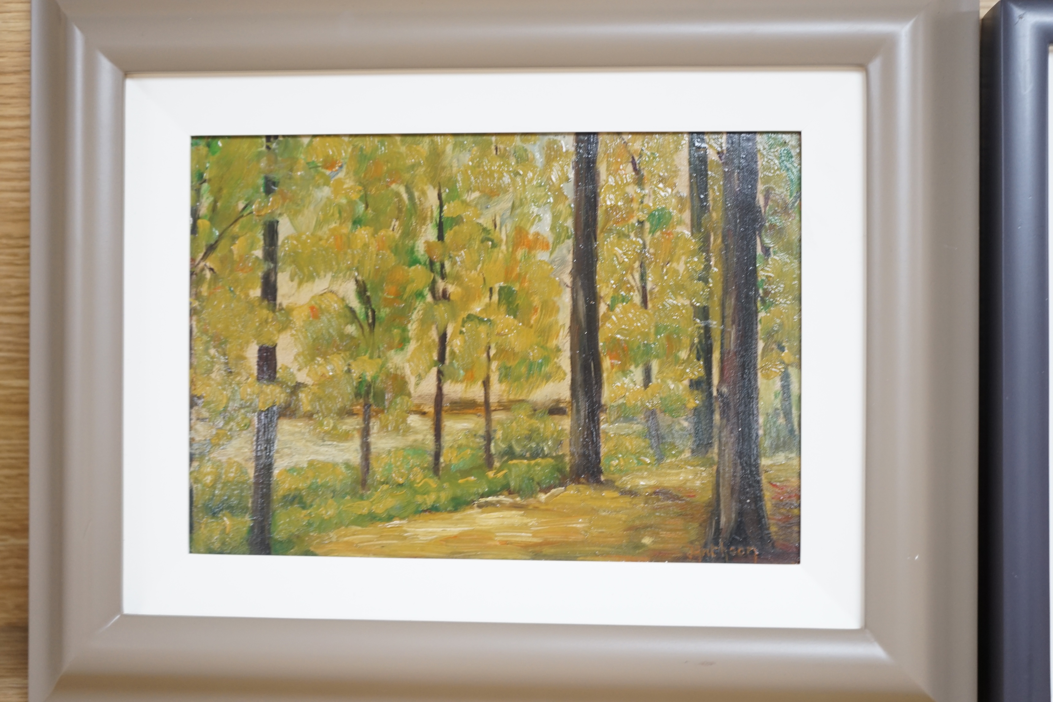 Three contemporary oils on board, Woodland scenes, one signed with initials P.H, 16 x 23cm. Condition - good
